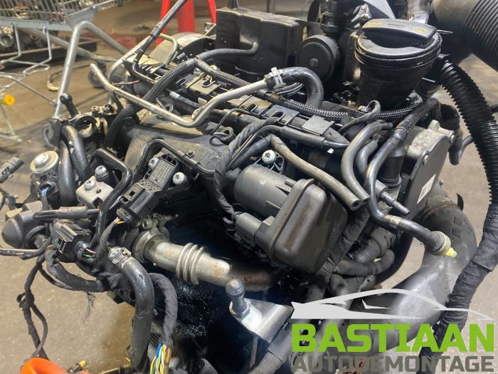 Moteur Volkswagen Polo V 1 2 TDI 12V BlueMotion CFWACFWA CFWA CFWA