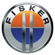 Looking for Fisker car parts?