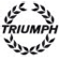 ¿Está buscando Triumph piezas?