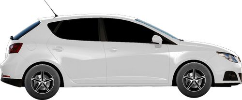 Seat Ibiza IV (6J5) 1.6 16V