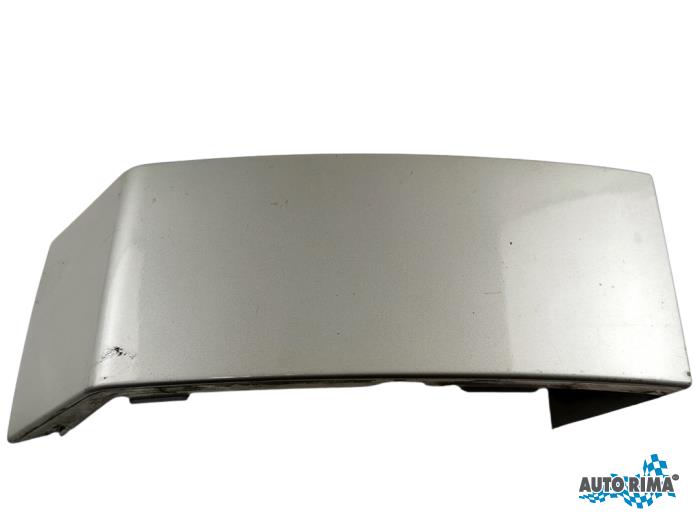 Rear light trim molding