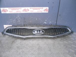 Used Grille Kia Picanto (TA) 1.0 12V Price on request offered by de Graaf autodemontage B.V.