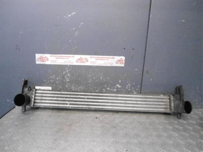 Usagé Intercooler Skoda Fabia II Combi 1.6 TDI 16V 75 Prix sur demande proposé par de Graaf autodemontage B.V.