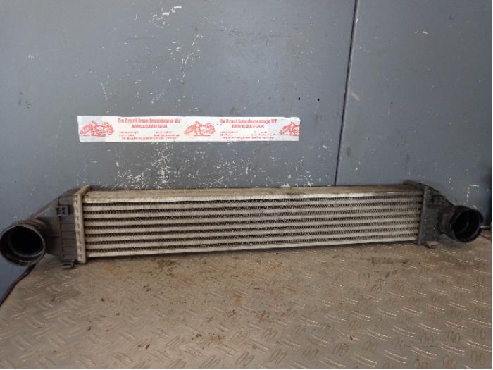 Intercooler Mercedes A (W169), 2004 / 2012 2.0 A-200 CDI 16V 3-Drs., Berline avec hayon arrière, 2 portes, Diesel, 1.991cc, 103kW (140pk), FWD, OM640941, 2004-06 / 2012-08, 169.308 (Occasion)