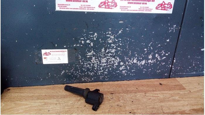 Gebrauchte Stift Zündspule Ford Focus 2 2.0 16V Preis € 15,00 Margenregelung angeboten von de Graaf autodemontage B.V.