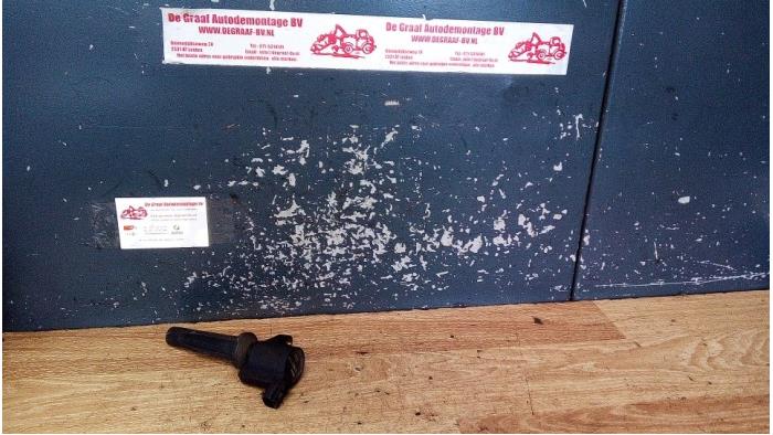 Gebrauchte Stift Zündspule Ford Focus 2 2.0 16V Preis € 15,00 Margenregelung angeboten von de Graaf autodemontage B.V.