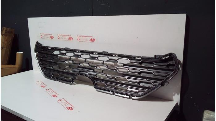 Grille from a Toyota Rav-4 2019