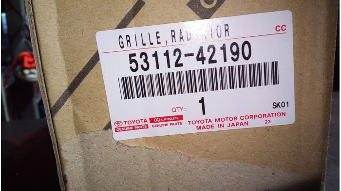 Grille from a Toyota Rav-4 2019