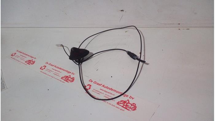 Antenna from a Renault Twingo II (CN) 1.2 2008