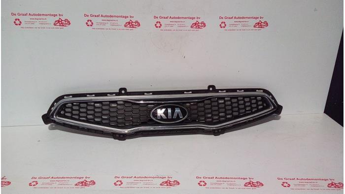 Grille from a Kia Picanto (TA) 1.2 16V 2014