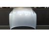 Audi Q7 (4LB) 3.0 TDI V6 24V Motorhaube