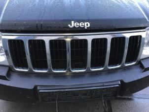 Used Grille strip Jeep Grand Cherokee (WH/WK) 3.0 CRD V6 24V Price on request offered by "Altijd Raak" Penders