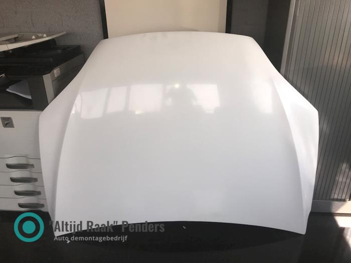 Nuevos Capó Tesla Model X Precio de solicitud ofrecido por "Altijd Raak" Penders