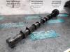Camshaft from a Renault Master III (ED/HD/UD), 2000 / 2010 2.5 dCi 16V 115, CHC, Diesel, 2.464cc, 84kW (114pk), FWD, G9U720; G9U750; G9U754; G9U724, 2001-10 / 2010-04 2001