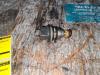 Injector (petrol injection) from a Volkswagen Transporter/Caravelle T4 2.5 i Syncro 1993
