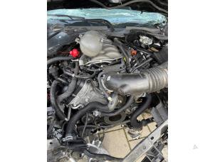 Gebrauchte Motor Ford Usa Mustang VI Fastback 5.0 GT Ti-VCT V8 32V Preis auf Anfrage angeboten von "Altijd Raak" Penders
