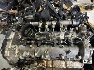 Used Injector (diesel) Jeep Wrangler (JL) Price on request offered by "Altijd Raak" Penders
