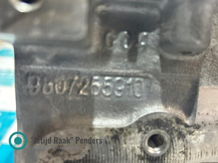 Cylinder head Peugeot Expert - 9807255910 AH01 Cylinder head Peugeot Expert - 9807255910 AH01