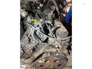Used Engine Chevrolet Chevy/Sportsvan G10 5.7 Price on request offered by "Altijd Raak" Penders