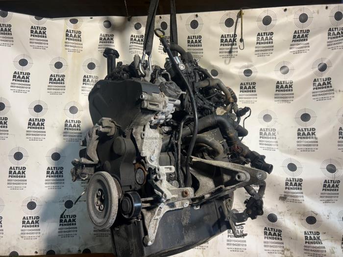 Engine Volkswagen Transporter T6 2.0 TDI 204 - 031476 CXE