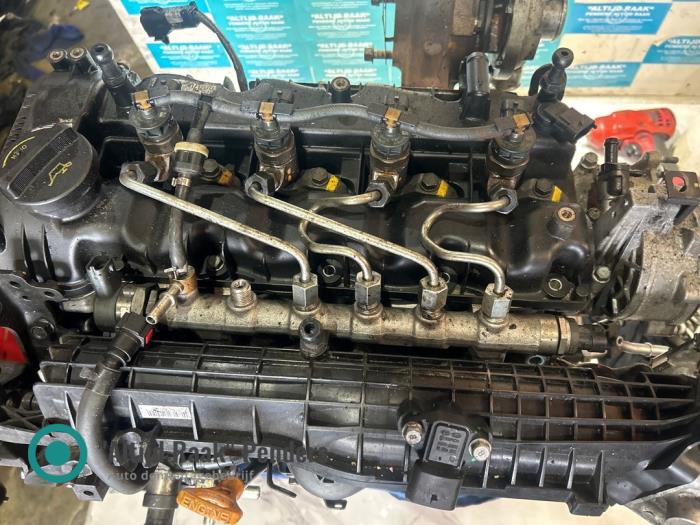 Usagé Conduit de carburant Kia Sportage (QL) 1.7 CRDi 115 16V 4x2 Prix sur demande proposé par "Altijd Raak" Penders