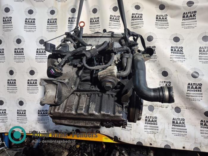 Engine Volkswagen Caddy Combi III 1.9 TDI 4Motion - BLS862301 BLS862301