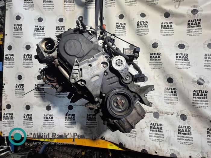 Engine Volkswagen Caddy Combi III 1.9 TDI 4Motion - BLS862301 BLS862301