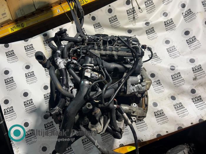 Engine Ford Transit 2.4 TDCi 16V - 23112024 23112024