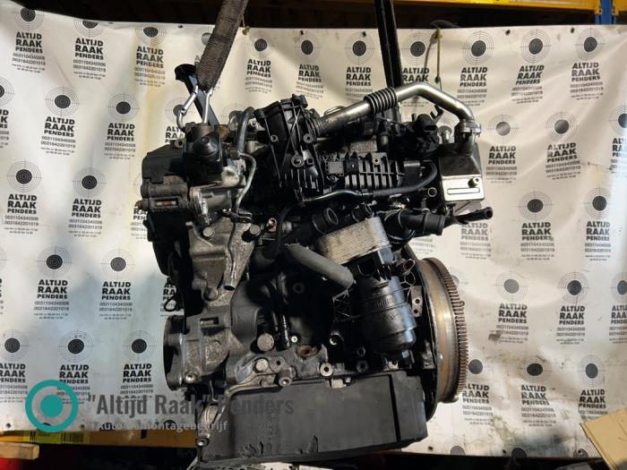 Cxf Engine Engine Volkswagen Transporter T6 2.0 TDI 150 - 009883 CXF