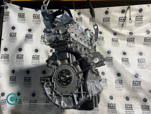 Engine from a Ford Transit 2.0 TDCi 16V Eco Blue 130 2023
