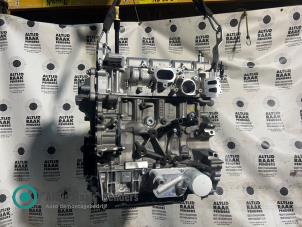 Engine from a Ford Transit 2.0 TDCi 16V Eco Blue 130 2023