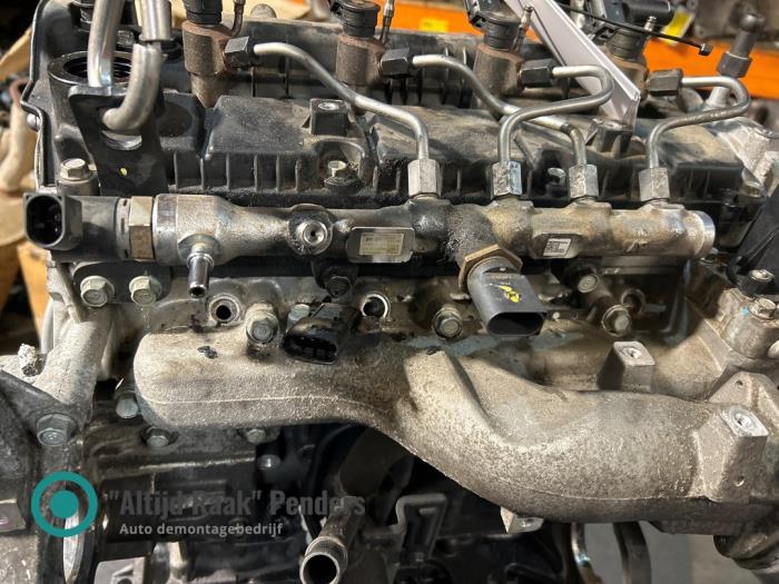 Gebrauchte Einspritzdüse (Einspritzer) Kia Sportage (QL) 1.6 CRDi 16V 116 Preis auf Anfrage angeboten von "Altijd Raak" Penders