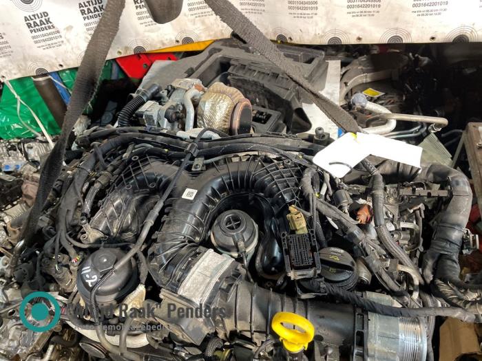 Engine Volkswagen Amarok 3.0 TDI V6 24V 4Motion - 053280 DDX