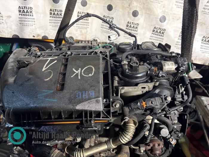Usagé Culasse Peugeot Partner (GC/GF/GG/GJ/GK) 1.6 BlueHDi 100 Prix sur demande proposé par "Altijd Raak" Penders