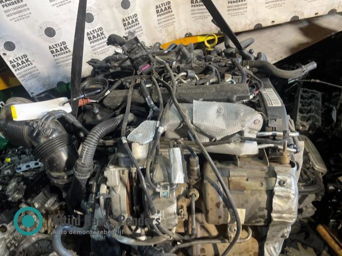 Used Engine Volkswagen Passat (3G2) 1.6 TDI 16V Price € 4.000,00 Margin scheme offered by "Altijd Raak" Penders
