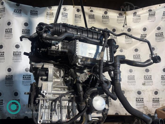 Engine from a Volkswagen Golf VIII (CD1) 1.5 eTSI 16V 2022