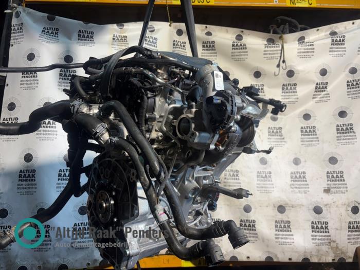 Engine from a Volkswagen Golf VIII (CD1) 1.5 eTSI 16V 2022