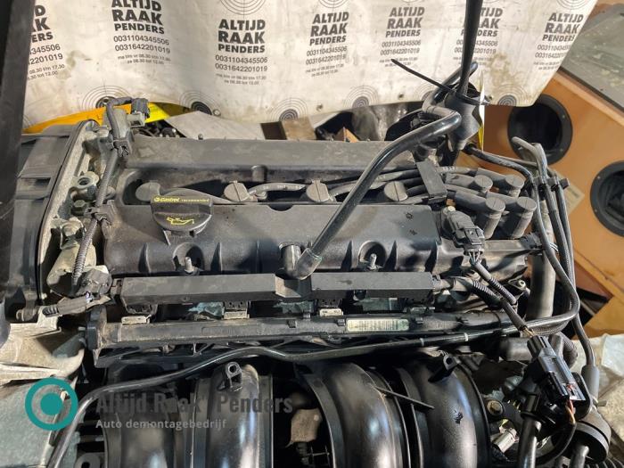 Motor Ford B-Max (JK8), 2012 / 2017 1.6 Ti-VCT 16V, MPV, Benzin, 1.596cc, 77kW, FWD, IQJC, 2015-10 (Gebraucht)