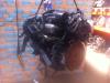 Engine from a Volvo S80 (TR/TS), 1998 / 2008 2.8 T6 24V, Saloon, 4-dr, Petrol, 2.783cc, 200kW (272pk), FWD, B6284T, 1998-05 / 2001-12, TS90 1999
