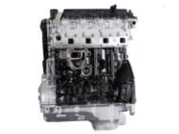 Motor van een Nissan Navara (D40) 2.5 dCi 16V 2005