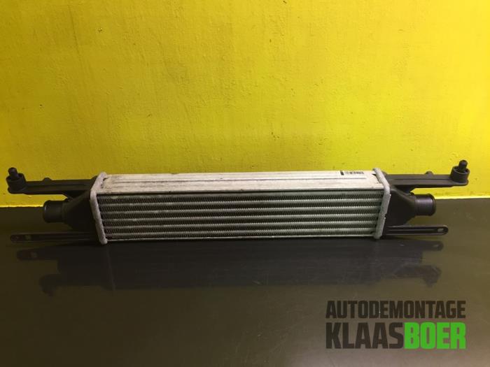 Used Intercooler Fiat Punto Evo (199) 1.3 JTD Multijet 85 16V Euro 5 Price € 50,00 Margin scheme offered by Autodemontage Klaas Boer