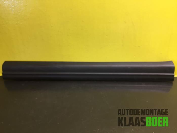 Trim molding