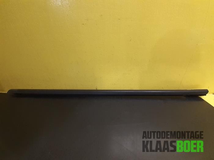 Door glass trim molding