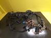 BMW Z4 Roadster (E85) 2.0 16V Kablage, motorrum