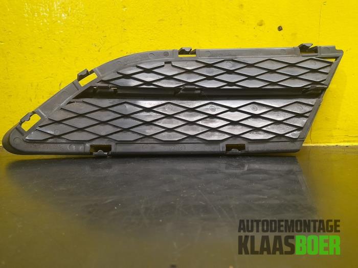 Front bumper lower grill