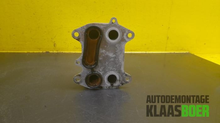 Gebrauchte Wärmetauscher Volkswagen Polo V (6R) Preis € 35,00 Margenregelung angeboten von Autodemontage Klaas Boer