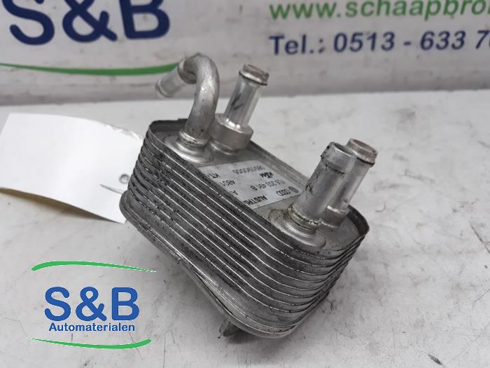 Usagé Refroidisseur de carburant Volkswagen Touareg (7LA/7L6) 3.0 TDI V6 24V Prix € 40,00 Règlement à la marge proposé par Schaap & Bron