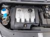 Usados Motor Volkswagen Golf Plus (5M1/1KP) 1.9 TDI 90 Precio € 700,00 Norma de margen ofrecido por Schaap & Bron