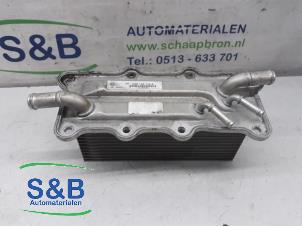 Usagé Echangeur air (Intercooler) Volkswagen Golf Prix € 75,00 Règlement à la marge proposé par Schaap & Bron