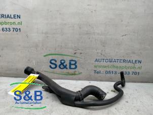 Gebrauchte Kühlerschlauch Skoda Octavia (1Z3) 1.6 MPI Preis € 23,00 Margenregelung angeboten von Schaap & Bron